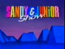 Imagem de Sandy & Junior Show